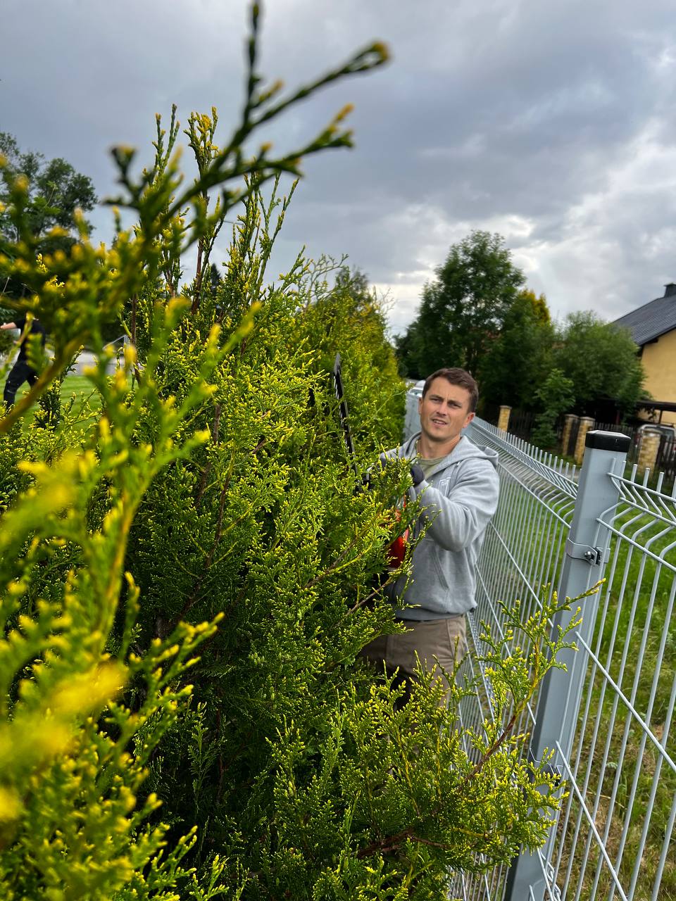 Pielęgnacja zieleni — koszenie i prace ogrodowe